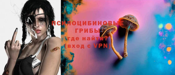 молекула духа Киреевск