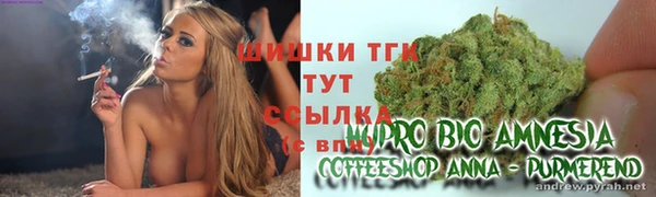 молекула духа Киреевск