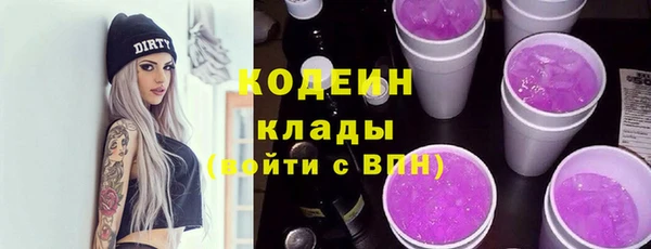 молекула духа Киреевск