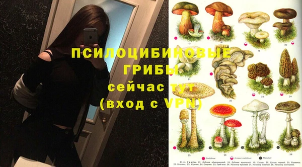 молекула духа Киреевск