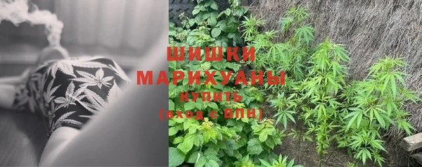 сатива Козельск