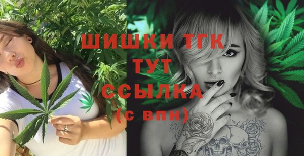 молекула духа Киреевск