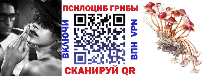 Галлюциногенные грибы мухоморы  Купить где  Вичуга 